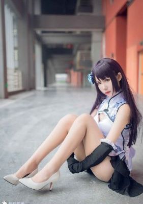 大鸟笼电影免费观看