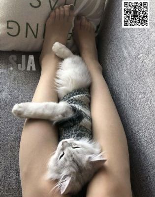 达里尔迪克森