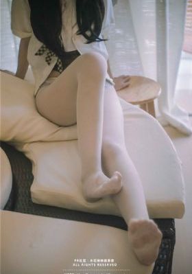 29片棕榈叶