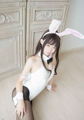 女子特警队电视剧免费观看