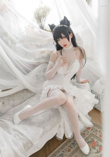 天坑鹰猎第二部